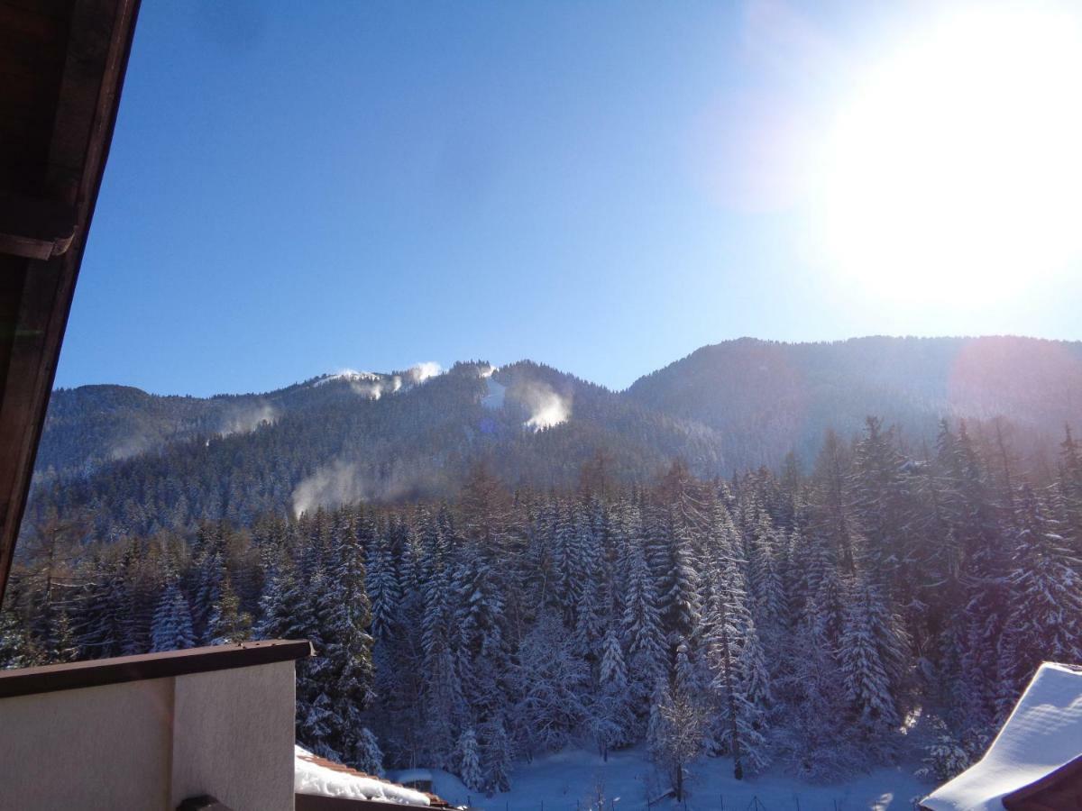 Yastrebetz View Apartment Borovets Bagian luar foto